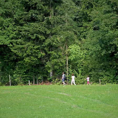 In Woergl Near Skiwelt Wilder Kaiser Chalet Salvenberg