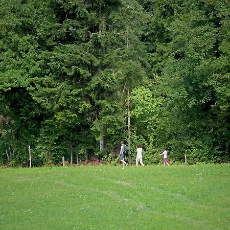 샬레 In Woergl Near Skiwelt Wilder Kaiser *