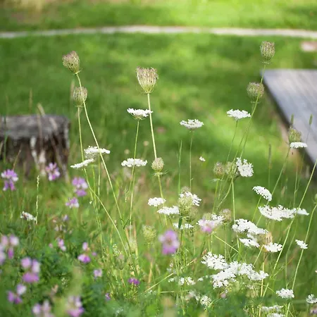 In Woergl Near Skiwelt Wilder Kaiser Chalet *