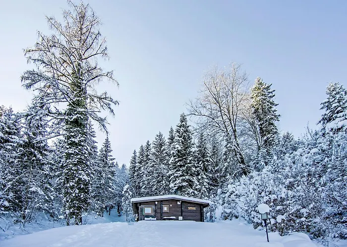 In Woergl Near Skiwelt Wilder Kaiser Salvenberg